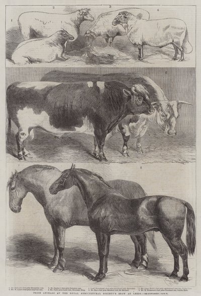 リーズでの王立農業協会のショーでの動物賞 作： Harrison William Weir